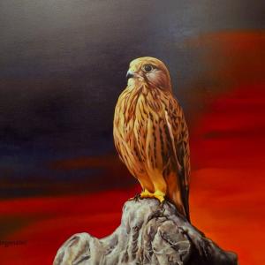 ANIMALS ART al Club La Meridiana di Modena