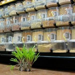 Monsantra at The New Gallery Monsantra at The New Gallery