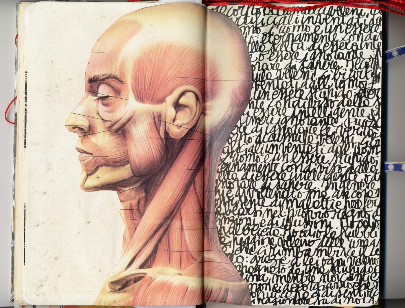 Ti rubo gli occhi- MANIFESTA 03