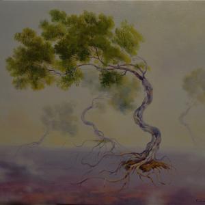 Il silenzio della coscienza Il silenzio della coscienza