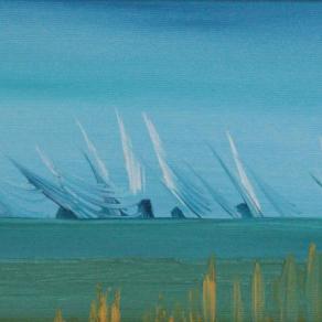 Poveri cipressi di Bolgheri