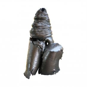 Geneticamente modificato