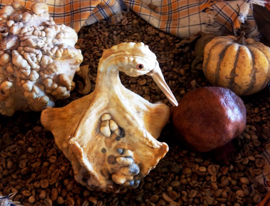 Uccellino :  figlio di zucche .