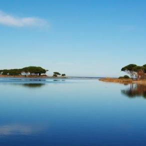 Stagno di Salamaghe e cielo e alberi e mare di Budoni