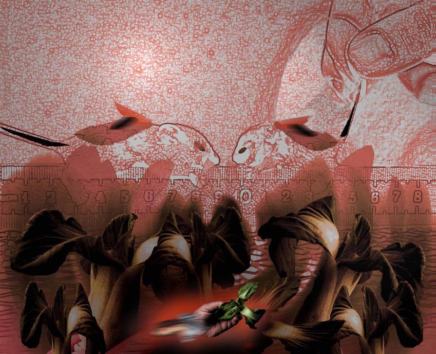 Malnutrizione Laboratorio 2 Malnutrizione Laboratorio 2