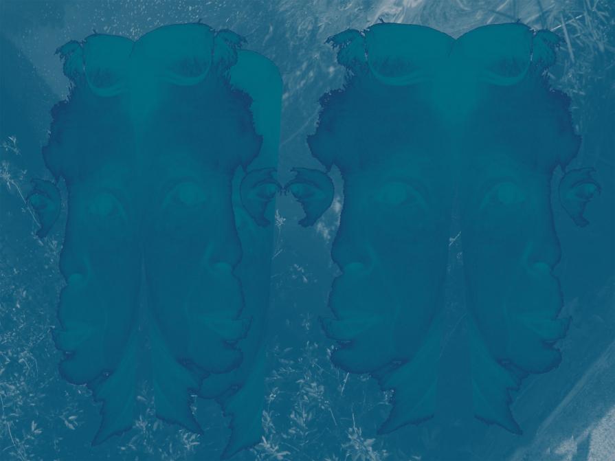 Caesare x 4 (Limes lines)