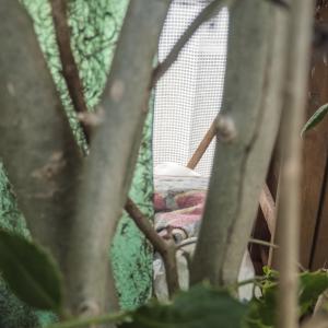 Insight-Out 5 Insight-Out 5