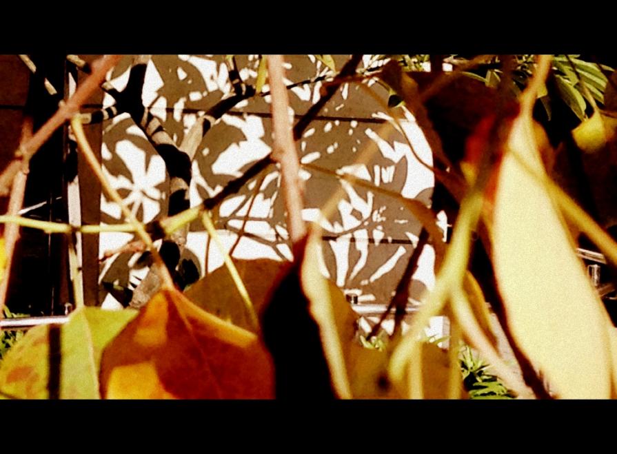 Layers and Shadows 2015