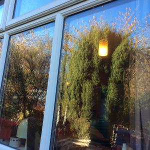 SKYLIGHT pic 4 SKYLIGHT pic 4