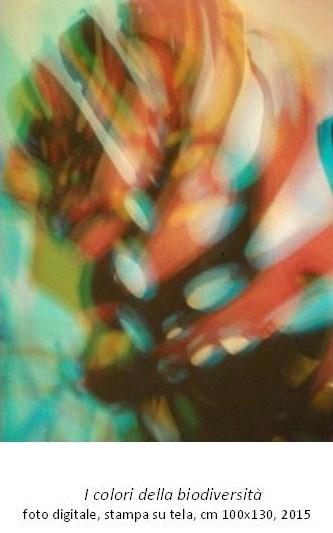I colori della biodiversità -2015