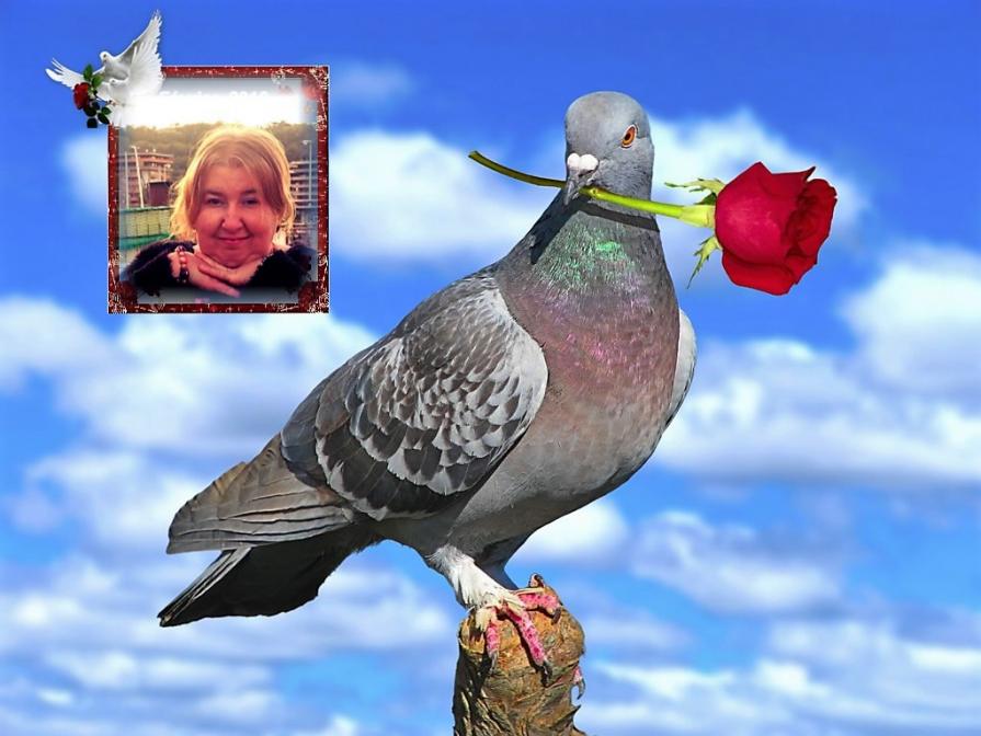 CAMPANE A FESTA .TRIPUDIO DI CUORI.BUONA PASQUA AGLI AMICI MIGLIORI ...!!!:)))))