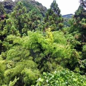 Personal Experience: Finding nature Personal Experience: Finding nature