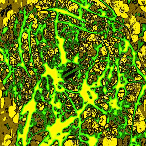 Lei piange sempre la sera ... Forse è la sua Preghiera !!! 