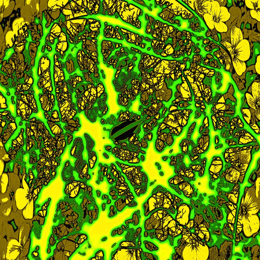 Lei piange sempre la sera ... Forse è la sua Preghiera !!! 