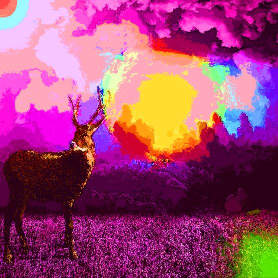 Sii umile perché sei fatto di Terra ... sii nobile perché sei fatto di Stelle ...