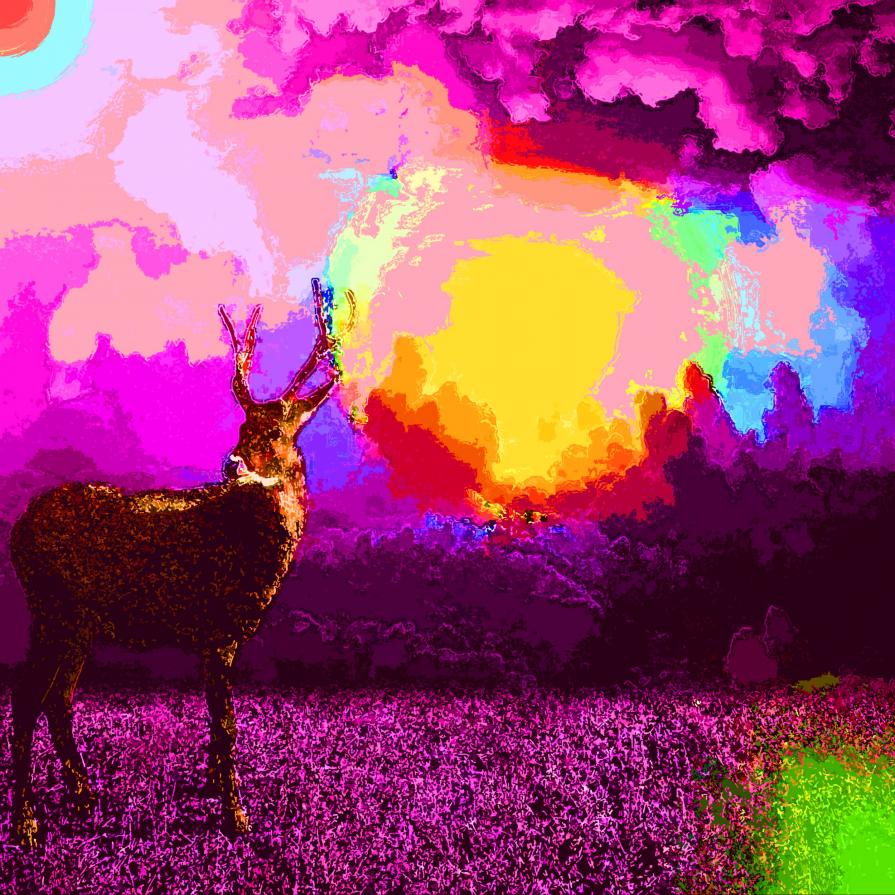 Sii umile perché sei fatto di Terra ... sii nobile perché sei fatto di Stelle ...