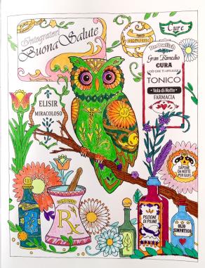 Con la saggezza del gufo...ogni cura trova la sua strada !!! ...