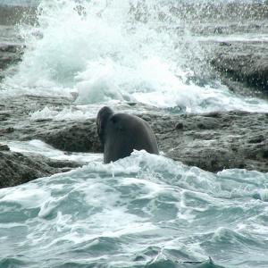 Argentina, Patagonia