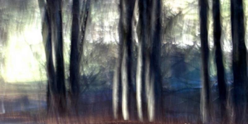 2014 catalog - new collection