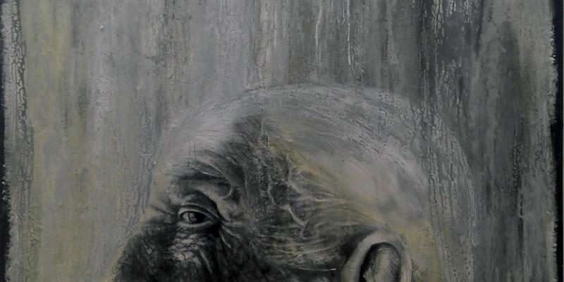 Arte Expo Arezzo 2012 Arte Expo Arezzo 2012