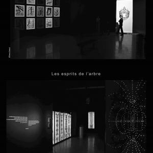 Spirits of the tree Spirits of the tree