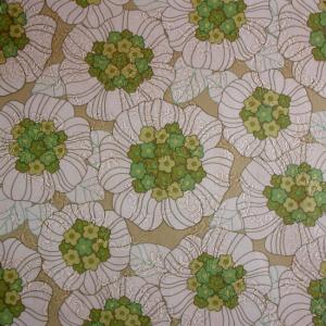 Particelle Elementari Particelle Elementari