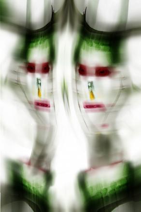 mi sento un  giardinere,  mi esercito con le rose.