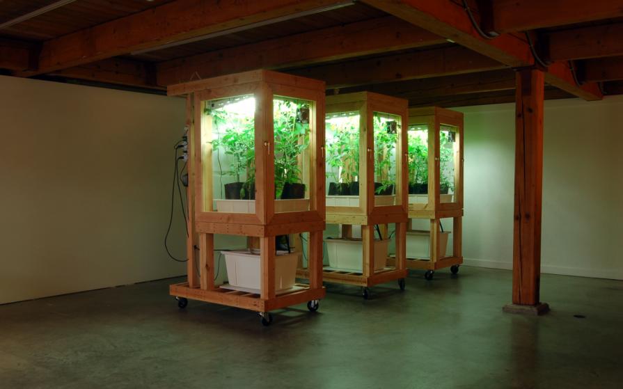 Disobedience, Abstraction, and the Opposable (Hydroponics) Disobedience, Abstraction, and the Opposable (Hydroponics)