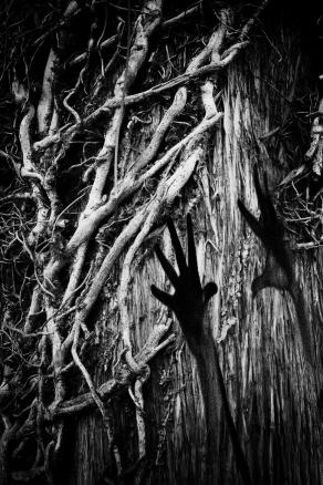 Animula Vagula Blandula