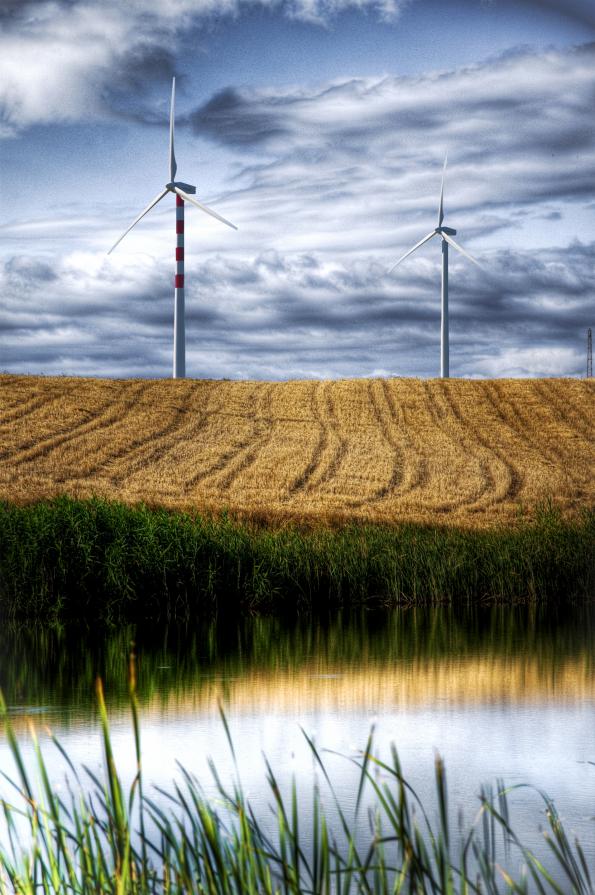 Sostenibilità Sostenibilità