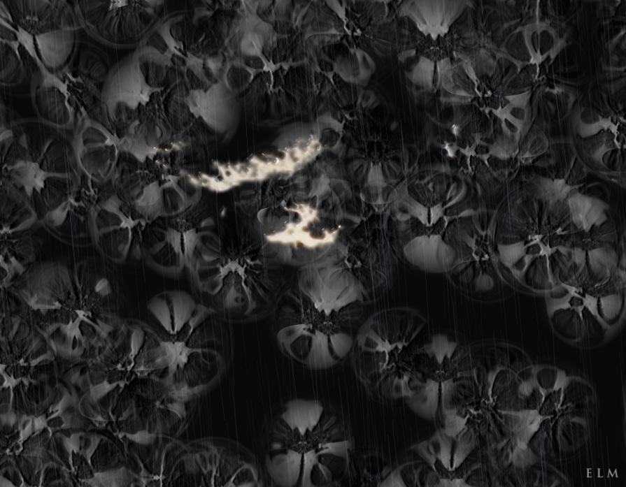 Sfere di fiori_02 Sfere di fiori_02