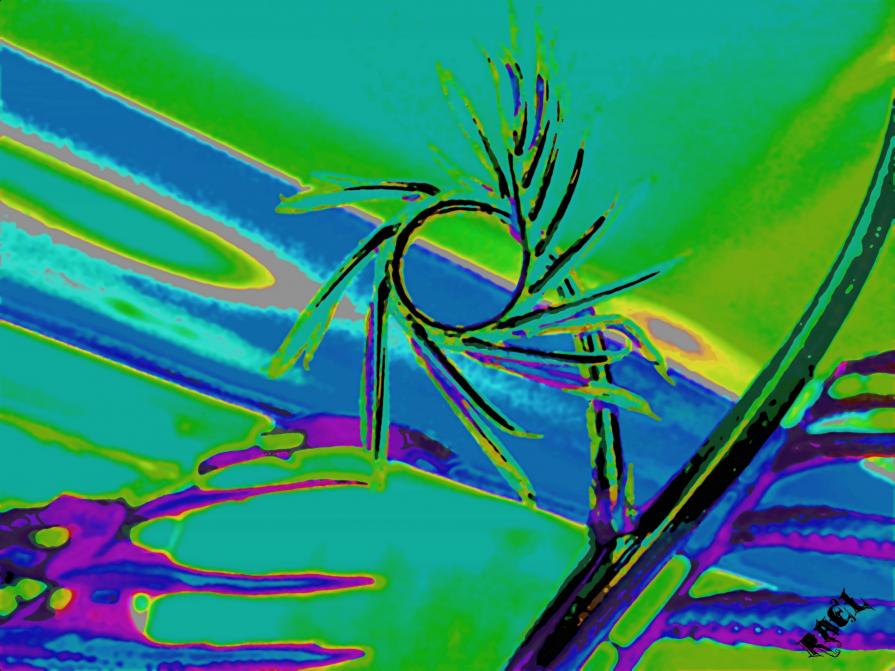 Perfezione Perfezione