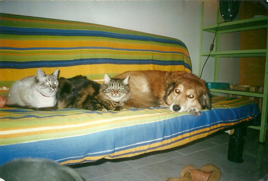 ORA LASCIA CHE TI SVELI UN SEGRETO...