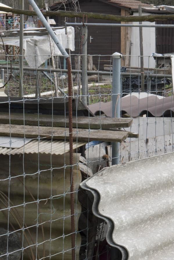 Insight-Out 11 Insight-Out 11