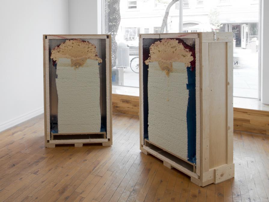 Healthy body, sick mind