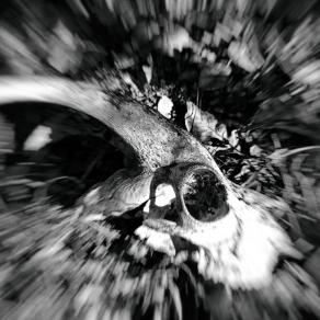 Ciò che resta di un'altra mia precedente vita 