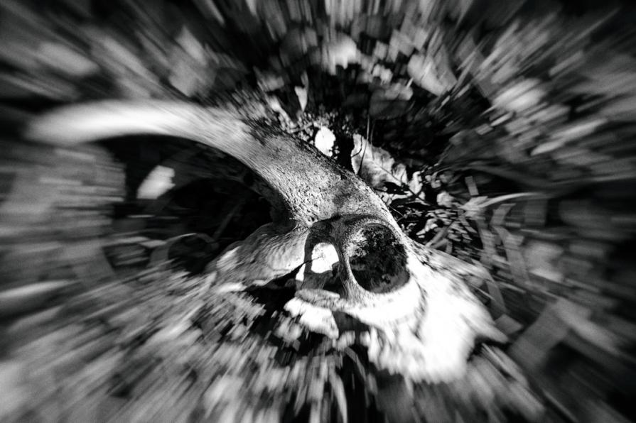 Ciò che resta di un'altra mia precedente vita 