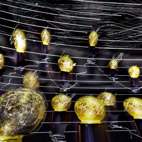 la vita è una corsa agli ostacoli verso la luce.