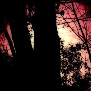 Prima che la notte ci divida 