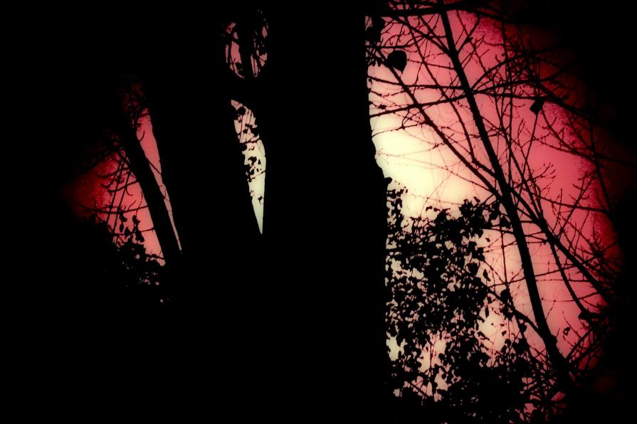 Prima che la notte ci divida 