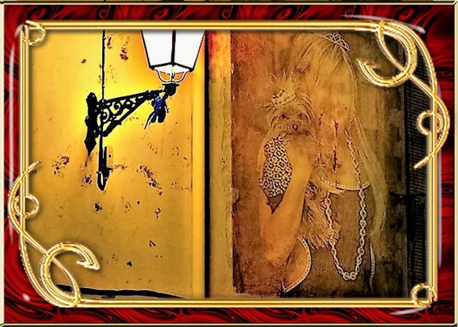 Sempre fino in Fondo !!!!