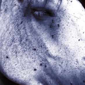 La parola racconta il dominio