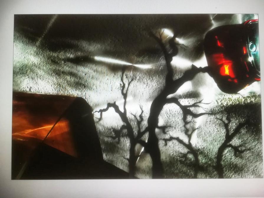 Lavarone night fra sogni e realtà. 