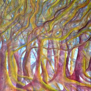 “Il bosco segreto”