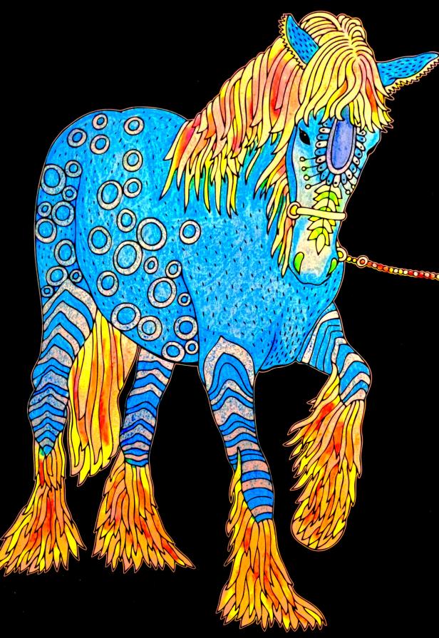 I cavalli ci prestano le ali che ci mancano....!!!