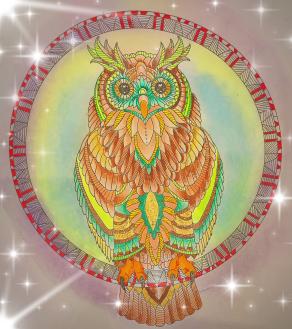 Il gufo ha le stelle negli occhi...!!!