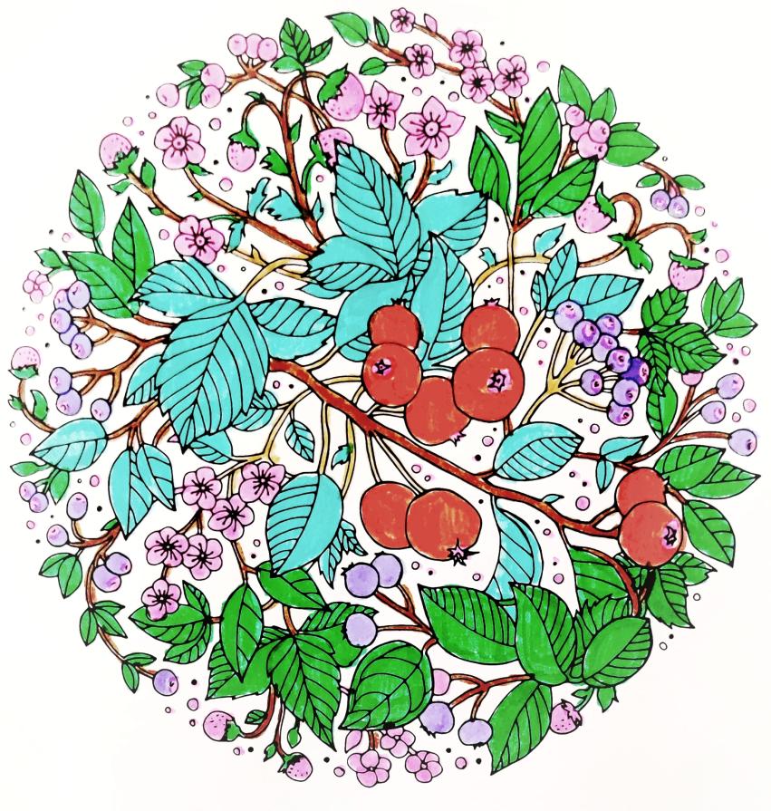         ....Il Respiro della Natura !!!! ....