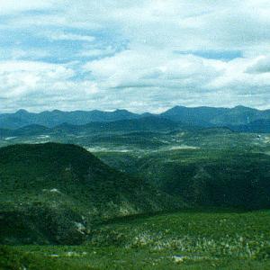 Mexico. Disposable faded