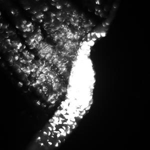 C 3 creatività concettualità contemporaneità C 3 creatività concettualità contemporaneità