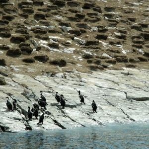 Argentina, Patagonia
